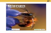 Tiere live Ergänzungskapitel Bienen - Bayern
