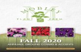 FALL 2020 - Mobley Plant Farm
