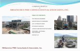 COMPANY PROFILE of RBSANCHEZ PME CONSULTANTS & ASSOCIATES ... CV/RBS ENGINEERS TECH PROFILE-REV 3 · PDF file company profile of rbsanchez pme consultants & associates, inc. table