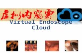 Virtual endoscope cloud english