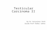 Testicular carcinoma