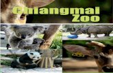 Chiangmai zoo2