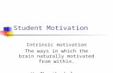 Intrinsic motivation of students