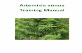 Artemisia annua Training Manual - Malaria Defeated