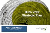 Burn Your Strategic Plan - Potrero Group