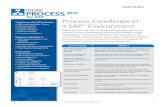 Process Excellence in a SAP Environment - my. Process... · PDF fileProcess Excellence in a SAP ... SAP Business Blueprint creati on and editi ng Model blueprint projects from within