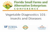 Vegetable Diagnostics 101: Insects and Diseases