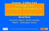 Curso Ciências Biológicas Ecologia Energética O ambiente energético da biosfera Ricardo Motta Pinto-Coelho Depto. Biologia Geral UFMG – ICB – Depto. Biologia