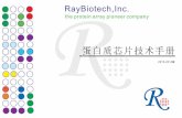 蛋白质芯片技术手册 - · PDF file 使用RayBiotech芯片产品部分参考文献 .....28 十六 RayBiotech芯片新技术介绍 .....30 十四 蛋白质芯片的实物图 十五