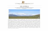 ALASKA - Nelle terre selvagge, 14 gg · PDF file 2019-04-11 · ALASKA Nelle terre selvagge Un viaggio per ammirare gli incanti dell’Alaska e immergersi nella sua natura mozzafiato.