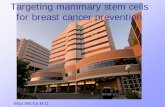 Targeting mammary stem cells for breast cancer prevention · PDF file TDC TDC . TDC TDC . TDC . No Metastases . CSC=Cancer Stem Cell . TDC=Terminally Differentiated Cell . Cancer Stem