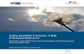 ZIELMARKTANALYSE FRANKREICH - · PDF fileSCRAE – Schéma Régional du Climat, de l’Air et de l’Energie, Regionales Konzept für Klima, Luft und Energie. SER – Syndicat des