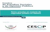 Retos actuales en materia de seguridad pública en Mé · PDF file 2017-11-10 · Retos actuales en materia de seguridad pública en México Seguridad pública El Ministerio de Defensa