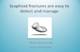 Scaphoid fractures are easy to detect and · PDF file suspected scaphoid fracture is a scaphoid splint or cast and: –reviewed clinically in 7-14 days (approx. 70%) and referred for