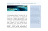 Cambio climático global, ascenso del nivel de los mares y otras consecuencias · PDF file 2014-09-07 · 1 Cambio climático global, ascenso del nivel de los mares y otras consecuencias: