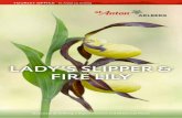 LADY’S SLIPPER & FIRE LILY