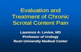 Evaluation and Treatment of Chronic Scrotal Content Pain · PDF file Chronic testicular/scrotal content pain frustrating for both patient and physician Rule out reversible causes May