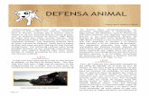 Defensa Animal de Rincon November 2015 El Coqui
