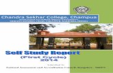 Chandra Sekhar College, Champua