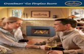 GreenSmart Gas Fireplace Inserts - Beach Stove and Fireplace