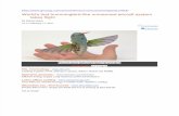 AeroVironment Nano Hummingbird