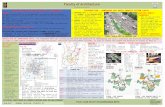 ahmedabad BRTS study