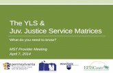 The YLS & Juv. Justice Service Matrices - YLS-JJSES... · PDF fileThe YLS & Juv. Justice Service Matrices ... •Example: MST might fit under the Family Circumstances/Parenting ...