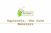 Squirrels, the Cute Monsters