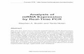 Analysis of mRNA Expression by Real-Time PCR ... the RNA and subsequently on any result of qRT-PCR assays (Vlems et al., 2002) and once a biological sample has been obtained, immediate