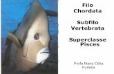 10. Classe Pisces