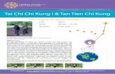 Tai Chi Chi Kung I & Tan Tien Chi Kung · PDF file Tan Tien Chi Kung ist eine der besten taoistischen Chi Kung Praktiken und entwickelt durch bestimmte Positionen und Atemübungen