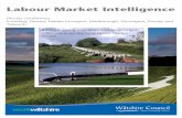 Labour Market Intelligence · PDF file Labour Market Intelligence . Devizes constituency Including: Devizes, Market Lavington, Marlborough, Durrington, Pewsey and Tidworth . A toolkit