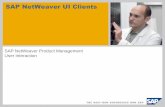 SAP NetWeaver UI Clients · PDF file SAP NetWeaver UI Client Standardization and Harmonization ... best client should be based on the usage scenario. In the end, the client strategy