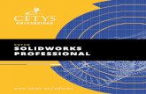 c solidworks professional - cetys.mx · PDF file Módulo VII. Desarrollo de dibujos de detalle • Vistas proyectadas • Vistas Auxiliares • Vistas de Sección • Vistas parciales