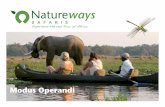 Modus Operandi - Natureways ... Modus Operandi 1.. 2 Odyssey Safaris BACKED UP SAFARIS GENERAL INFORMATION − Odyssey Safaris are fully backed-up safaris - meaning clients can sit