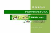 FRUTICULTURA - Instituto Formaçã · PDF file

4 Fruticultura   Alvaro Ferraz Mamão A Bahia produziu, em 2004, 784 mil toneladas de mamão, o que representa 46% da produção