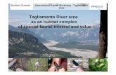 Grosser Tagliamento River area as an habitat complex of ... Tagliamento River area as an habitat complex of special faunal interest and value International Alpine Workshop - Tagliamento