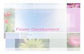 Flower · PDF file Flowering Plants • Flowering plants (angiosperms) have two growth phases – vegetative growth, production of stems and leaves, occurs at the apical meristem,