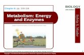 BIOLOGY Chapter 6: 10th Edition Metabolism: Energy and Enzymes · PDF file Metabolism: Sum of cellular chemical reactions in cell Reactants participate in reaction Products form as