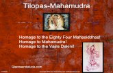 Mahamudra Is The Way