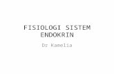 Fisiologi sistem endokrin