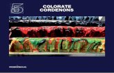 Carte colorate Cordenons