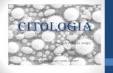 Aula 3 Biologia Celular IV - organelas celulares