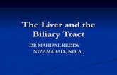 Liver and the biliary tract   dr mahipal