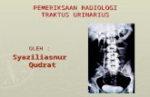 radiologi traktus urinarius