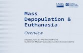 Mass Depopulation & Euthanasia Overview Adapted from the FAD PReP/NAHEMS Guidelines: Mass Depopulation and Euthanasia (2015)