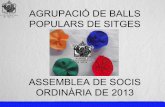 Assemblea Ordinària de Socis 2013 ABPS