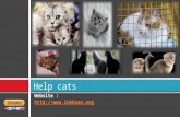 How to help cats