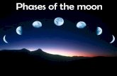 Phases of the moon - Plainview of the moon... •Full Moon •Waning Gibbous • ... Day 14 –Full moon. Full moon The moon is pretty much opposite the sun now and so we can see all