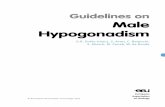 Guidelines on Male Hypogonadism - Uroweb · PDF file 2015-02-25 · Under the influence of intratesticular testosterone, the number of gonocytes per tubule increases threefold during